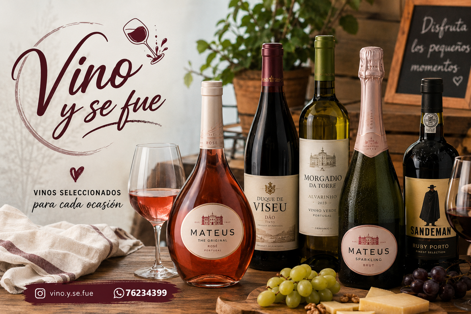 Selección de vinos Vino y se fue